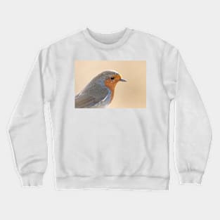 Robin with white feather Crewneck Sweatshirt